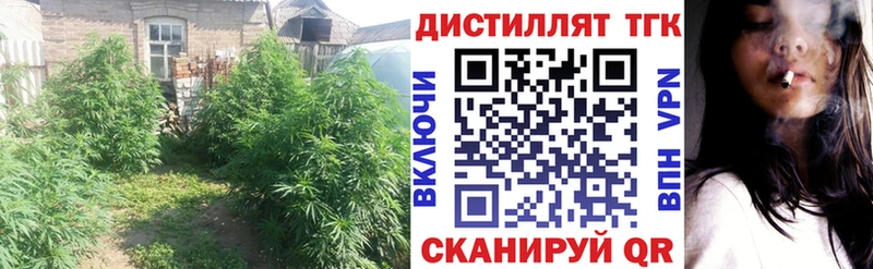 площадка телеграм  Нариманов  Дистиллят ТГК жижа 